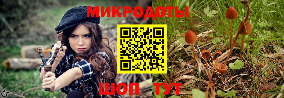 Галлюциногенные грибы мицелий  Галлюциногенные грибы Magic Shrooms  Вход с VPN  Кинель 