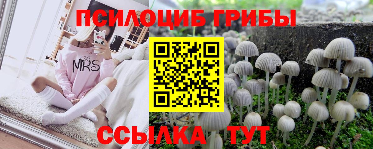 Псилоцибиновые грибы прущие грибы Кинель